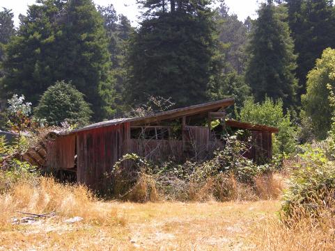 ChickenCoop03