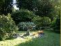 FrontYard