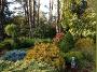 LowerDryCreekBorder