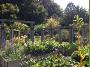 VegetableGarden
